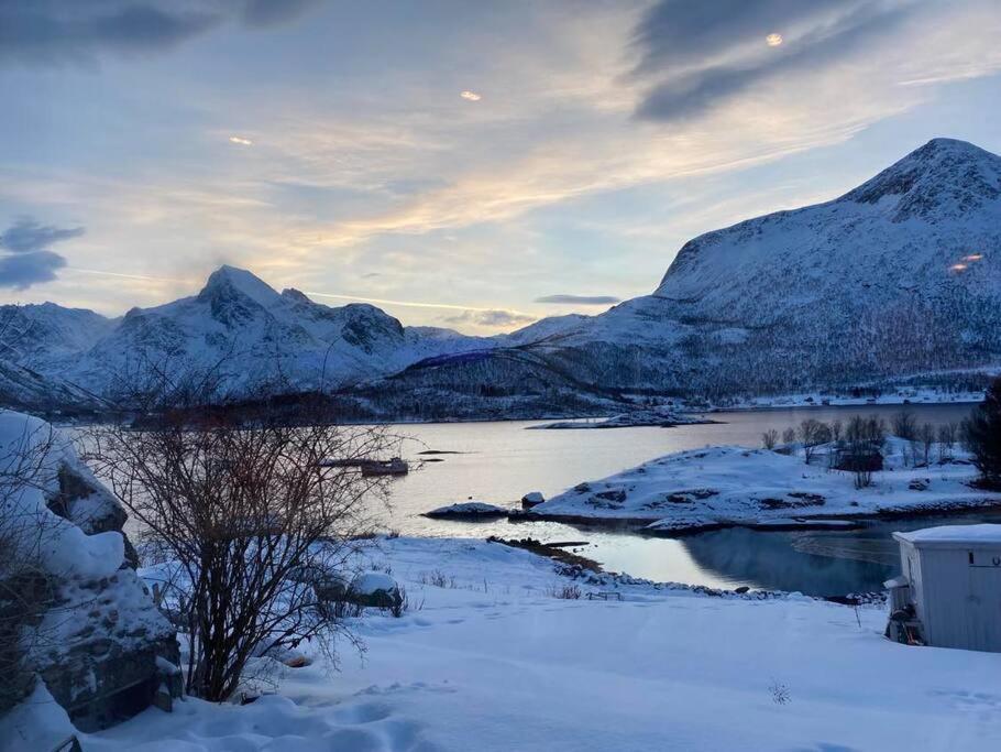 Sjarmerende Anneks I Sigerfjord, Vesteralen Sortland Exterior foto
